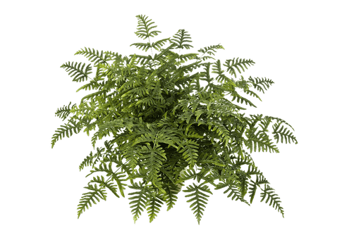 Kunstplant Athyrium Fern Bush  90 cm