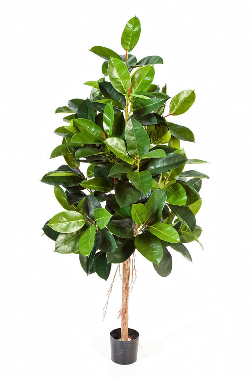 Kunstplant Ficus Elastica 140 cm