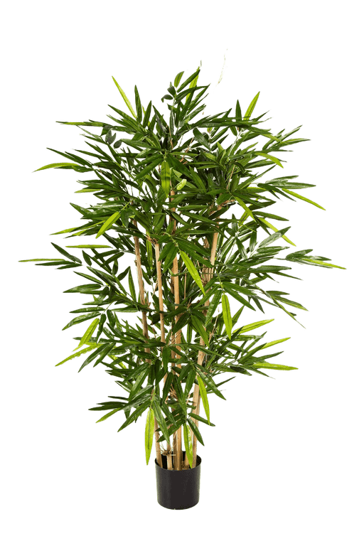 Kunstplant New Bamboo Tree 2