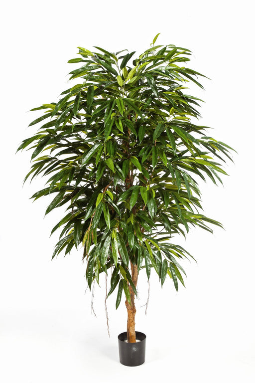 Kunstplant Royal Longifolia Tree 150 cm