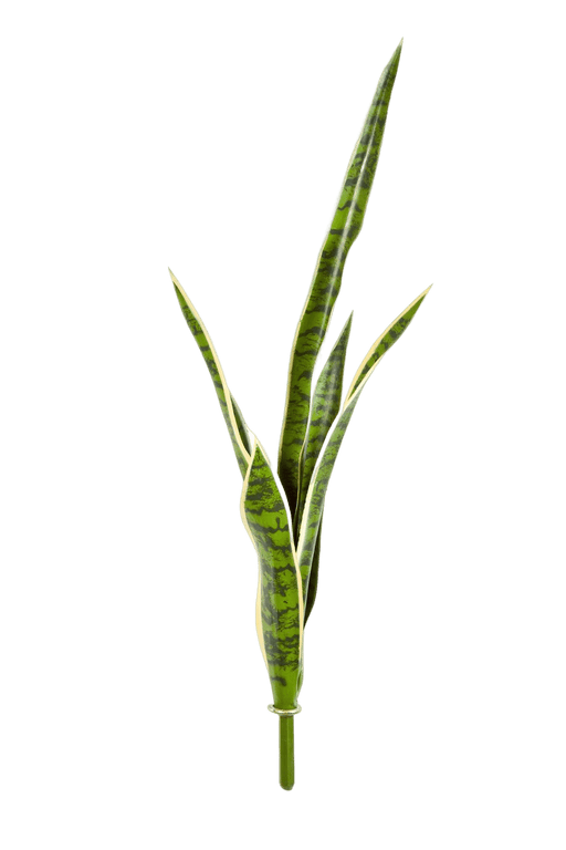 Kunstplant Sansevieria Green/Yellow 81 cm