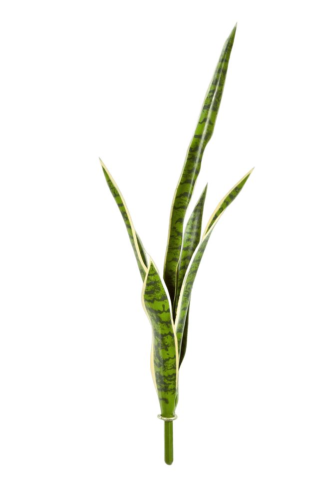 Kunstplant Sansevieria Green/Yellow 81 cm
