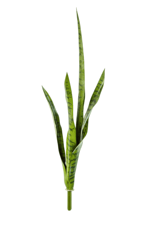 Kunstplant Sansevieria Green 81 cm