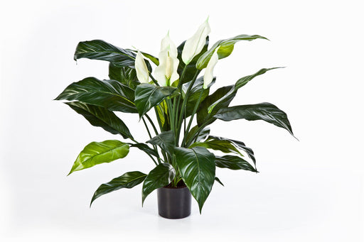 Kunstplant Spathiphyllum Deluxe 73 cm