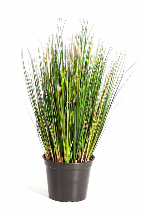 Kunst Grasplant Foxtail 60 cm