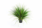 Kunst Grasplant Onoin 50 cm