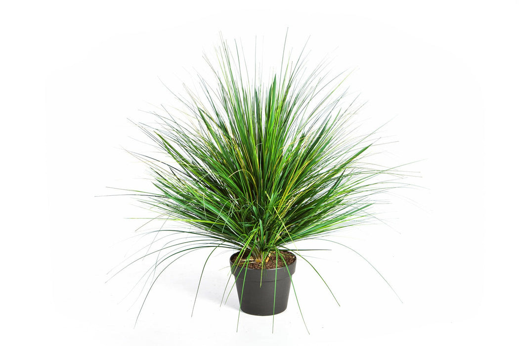 Kunst Grasplant Onoin 50 cm