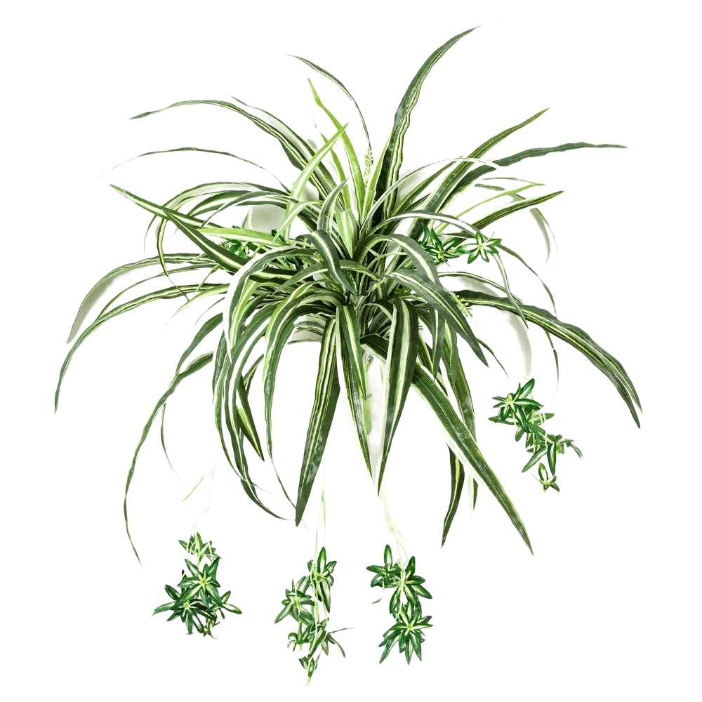 Kunst Stengel Spider Plant 60 cm