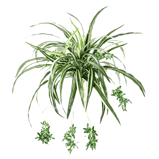 Kunst Stengel Spider Plant 60 cm