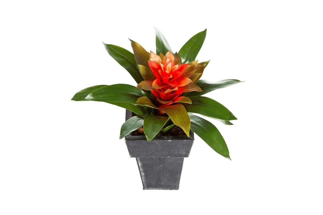 Kunstplant Bromelia Large 32 cm