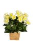 Kunst Stengel Begonia Bush Yellow 20 cm