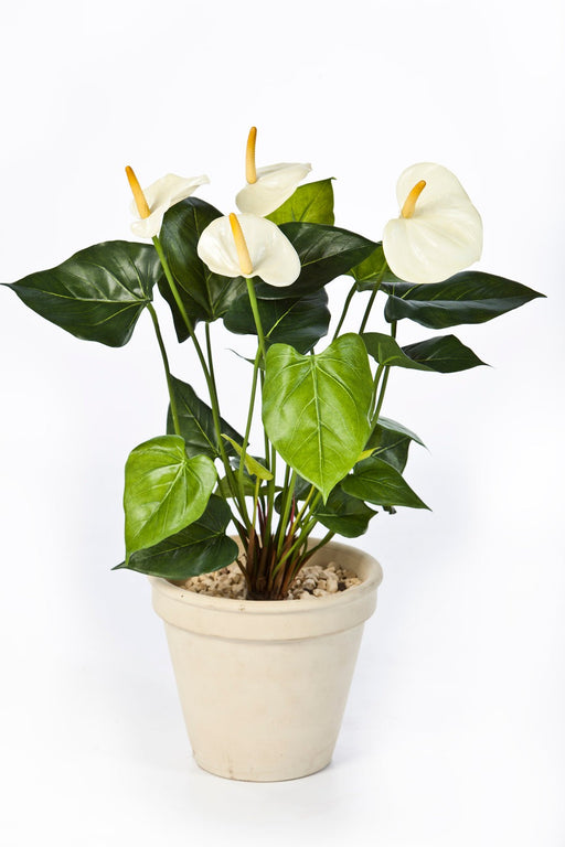 Kunstplant Anthurium Deluxe White 56 cm (zonder pot)