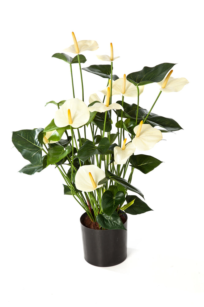 Kunstplant Anthurium White Deluxe 78 cm