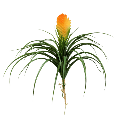 Kunstplant Large Bromelia Vriesia 30 cm