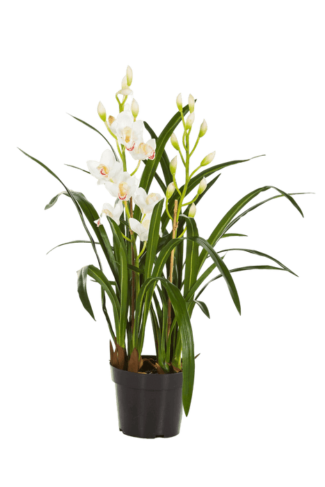 Kunstplant Cymbidium Orchid  80 cm