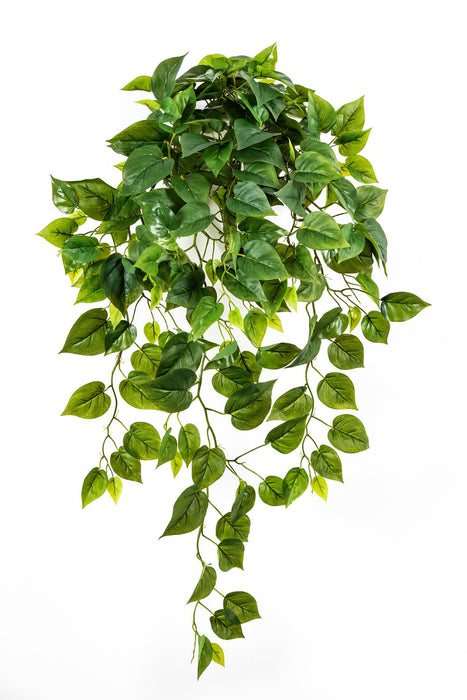 Kunst Hangplant 85 Philodendron cm