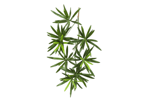 Kunstplant New Podocarpus Spray