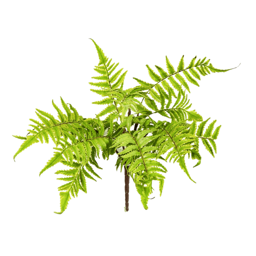 Kunstplant Cinnamon Fern 30 cm