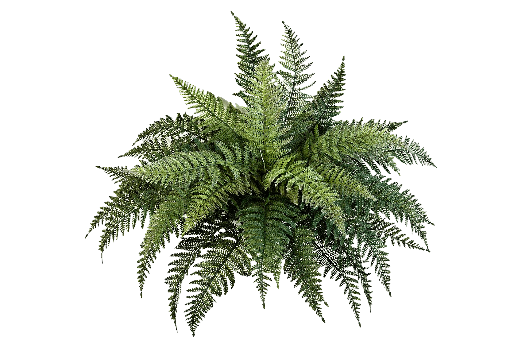Kunstplant Fern Bush - Plastic 70 cm