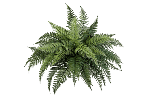 Kunstplant Fern Bush - Plastic 70 cm