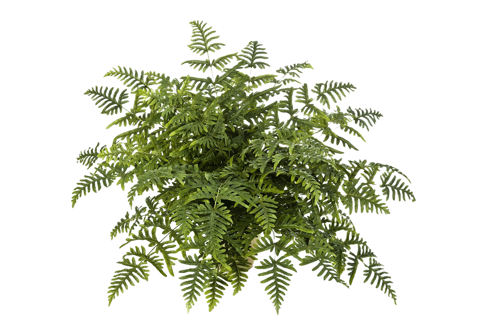Kunstplant Athyrium Fern Bush  90 cm
