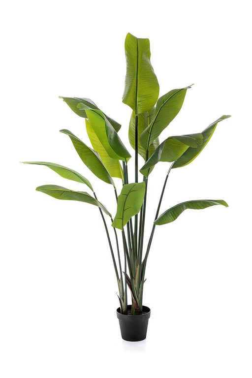 Kunstplant Strelitzia Traveller Palm 150 cm