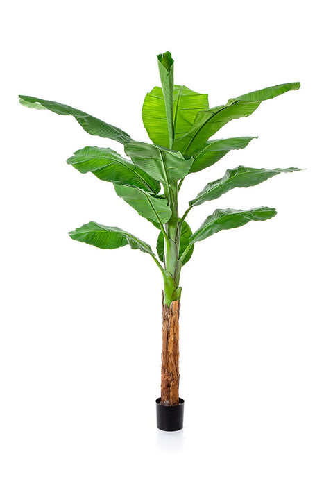 Kunstplant Royal Bananenboom 200 cm