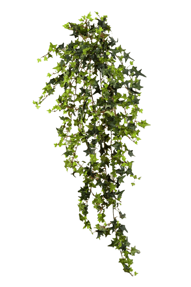 Kunstplant Star Ivy 103 cm