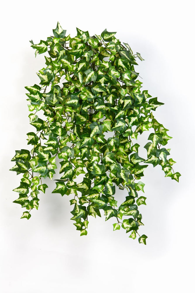Kunst Hangplant Variegated Ivy Green