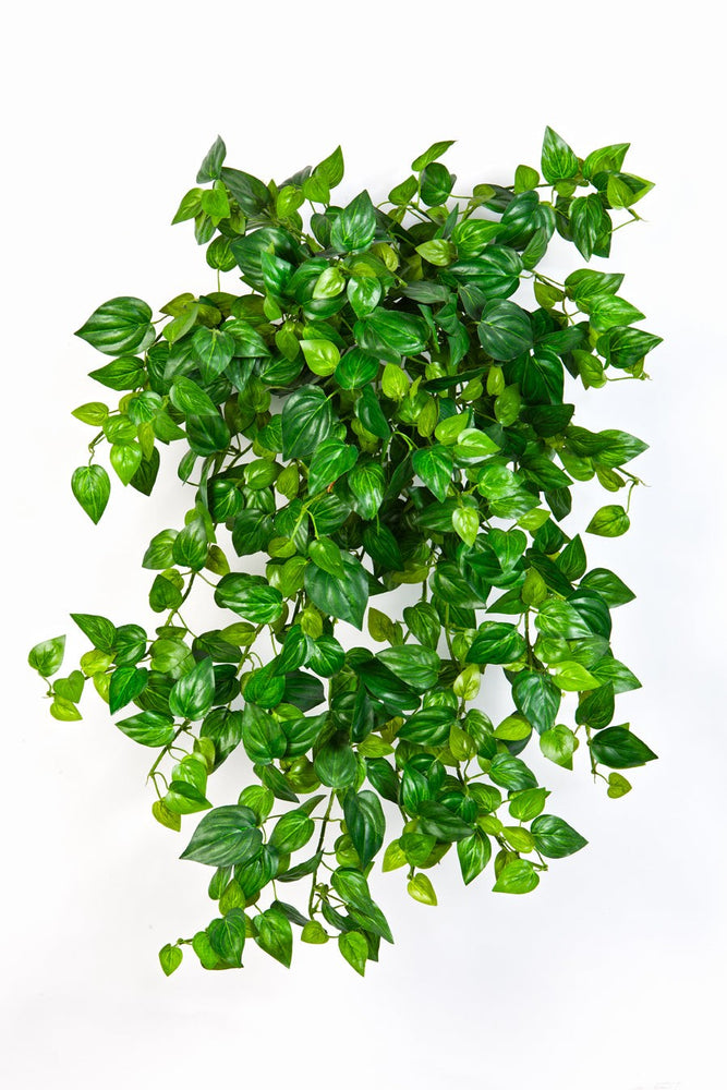 Kunst Hangplant Mini Philodendron