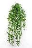 Kunst Hangplant Fittonia 85 cm