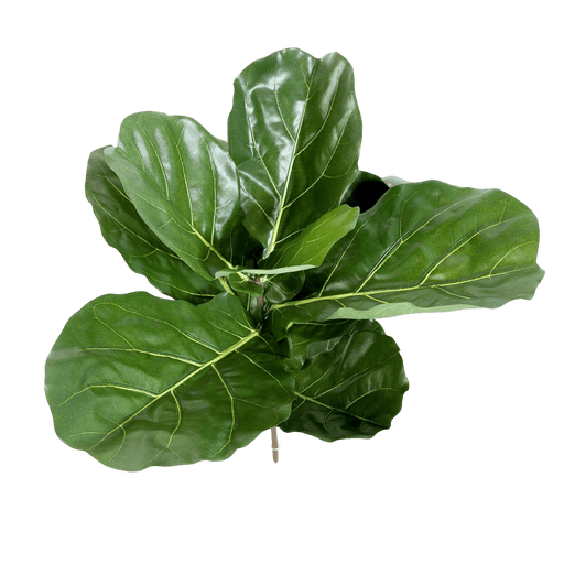 Kunstplant Fiddle Leaf Spray