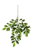 Kunstplant Variegated Ficus Folia Spray 48 cm
