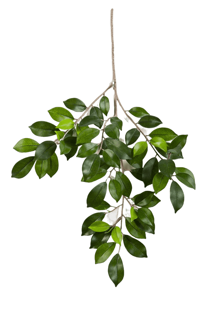 Kunstplant Ficus Folia Spray 48 cm