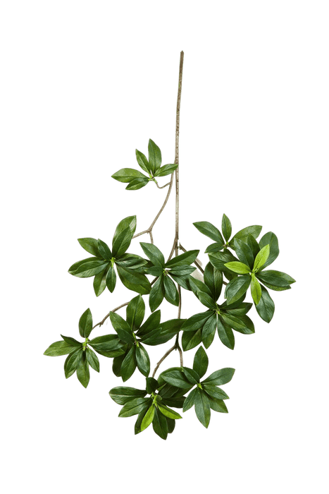 Kunstplant Variegated Euonymus Japonicus Spra 55 cm