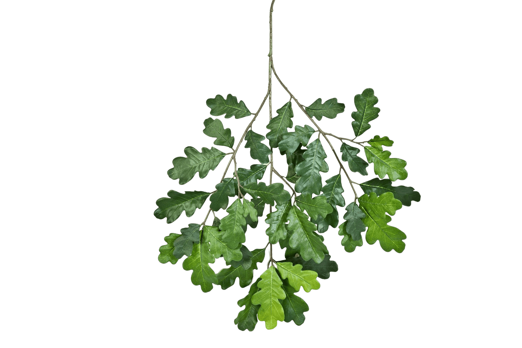 Kunstplant Common Oak Spray 60 cm