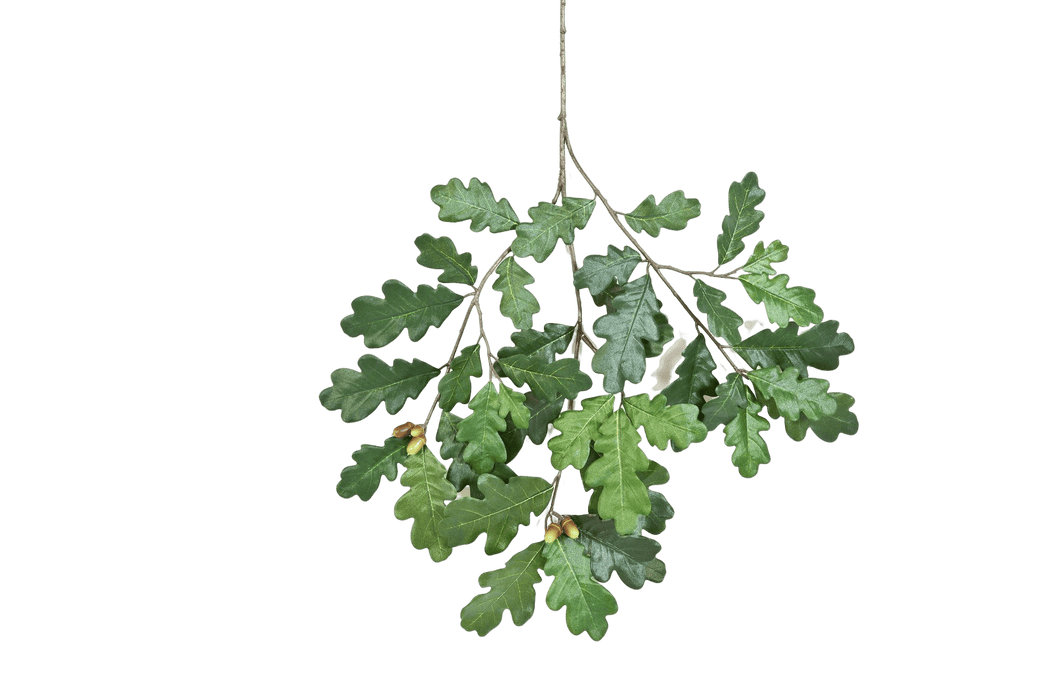 Kunstplant Common Oak Spray With Fruits 60 cm