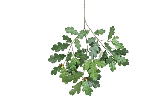 Kunstplant  Common Oak Spray ruits 60 cm