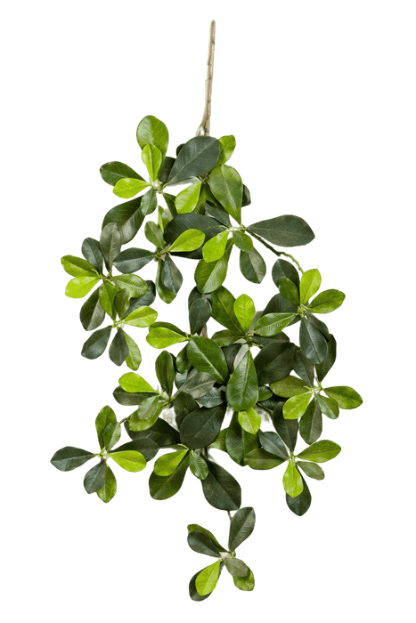 Kunstplant Oriental Olive Spray 55 cm