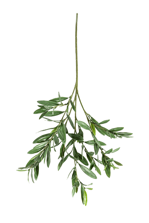 Kunstplant Olive Spray 68 cm