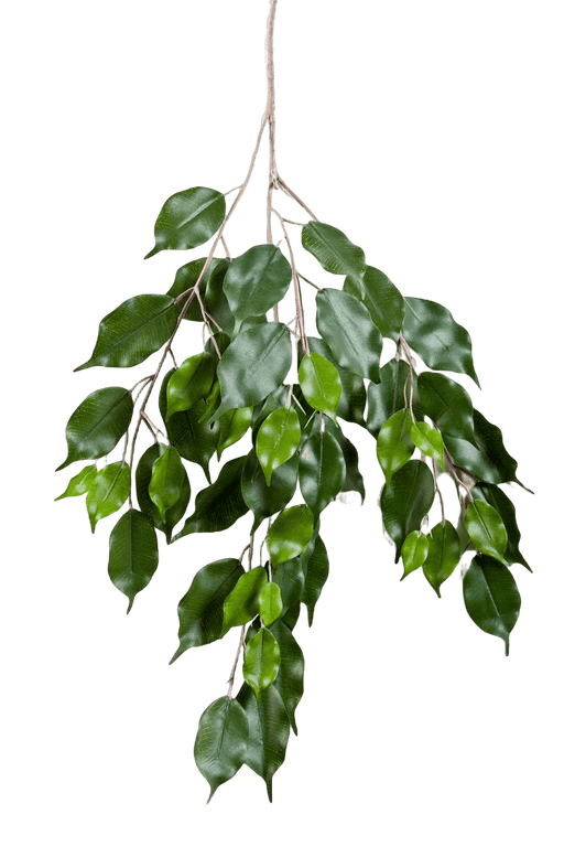 Kunstplant Ficus Exotica Spray