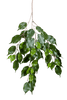 Kunstplant Ficus Exotica Spray
