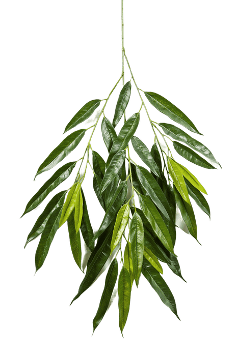 Kunstplant Royal Longifolia Spray 83 cm