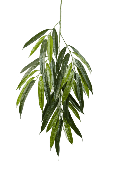 Kunstplant Deluxe Longifolia Spray 68 cm