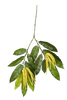 Kunstplant Chestnut Spray Flower 54 cm