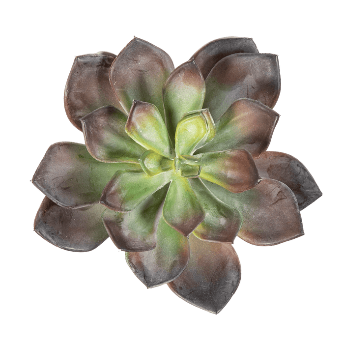 Kunstplant Echeveria Green/Red 15 cm