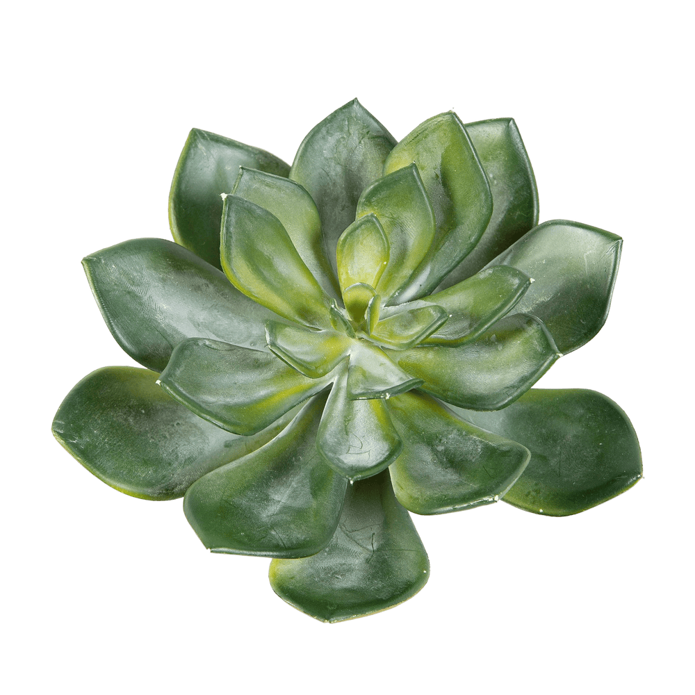 Kunstplant Echeveria Green 15 cm