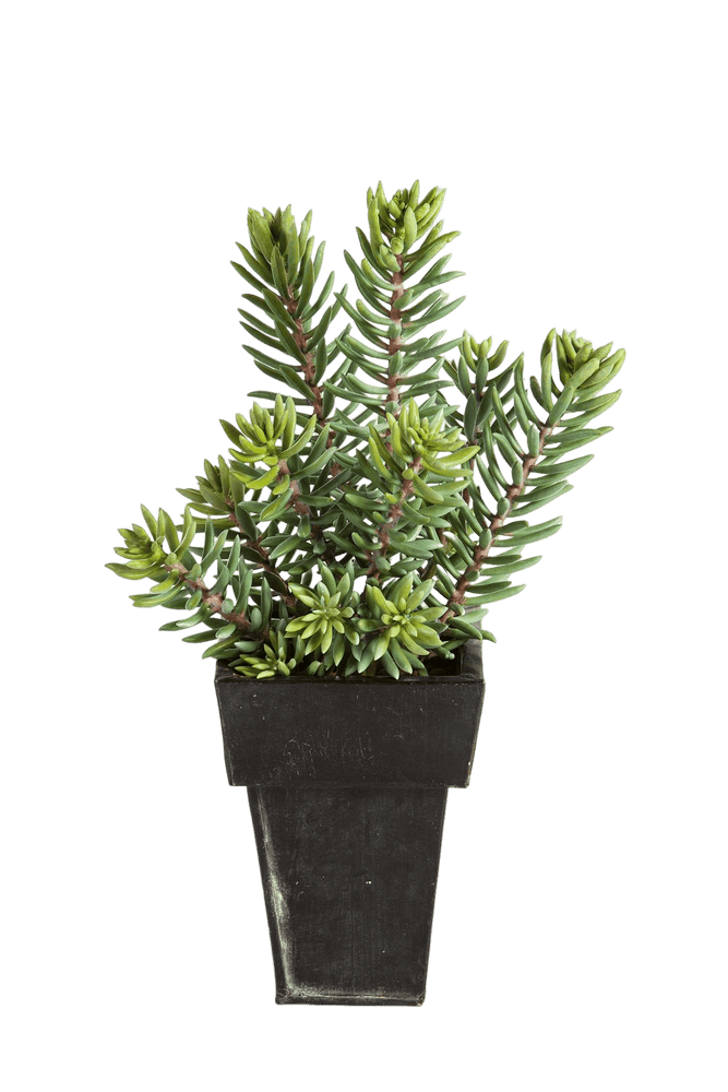 Kunstplant Sedum Cluster Plant 40 cm