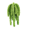 Kunstplant  Sedum Morganianum 27 cm