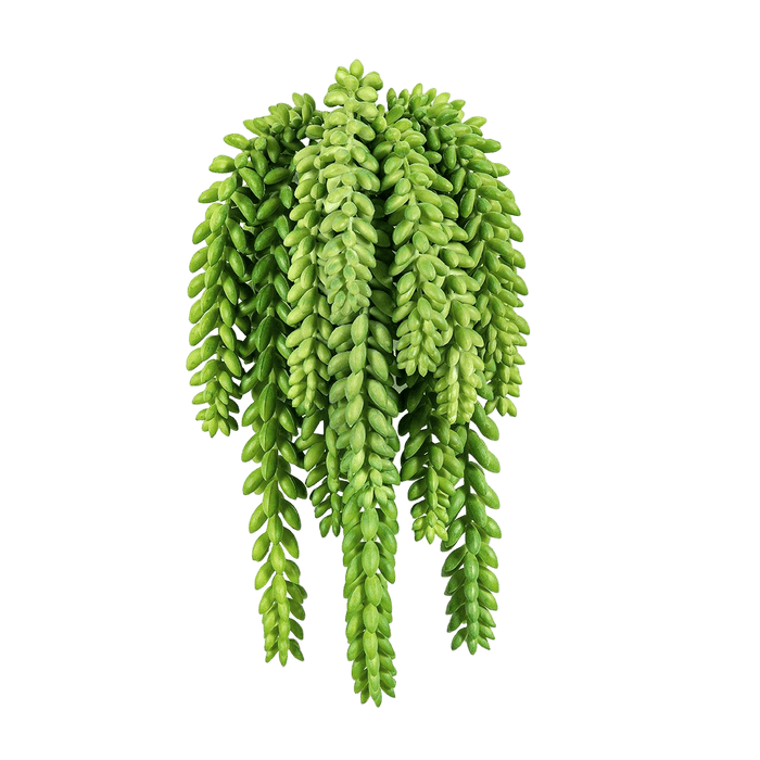 Kunstplant  Sedum Morganianum 27 cm